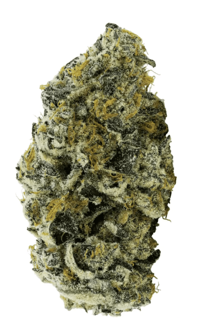 avaay 30/1 JFP Jet Fuel Pie